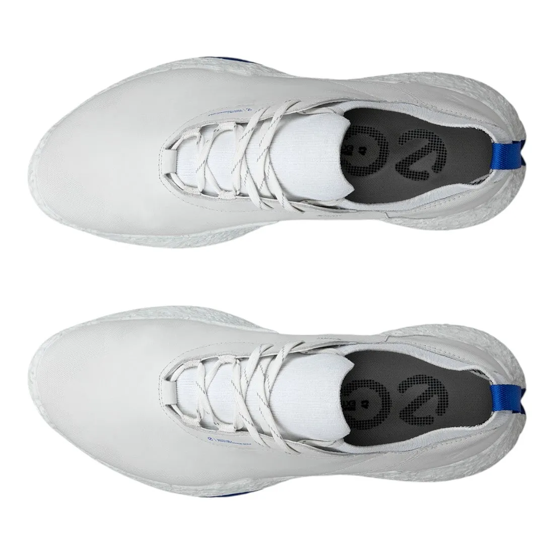 Ecco Golf Biom H5 Golf Shoes 138014