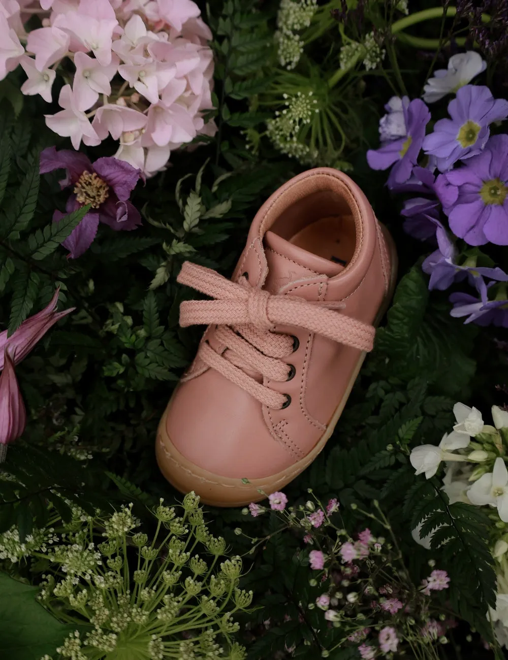 Everyday shoe Lace - Ballerina