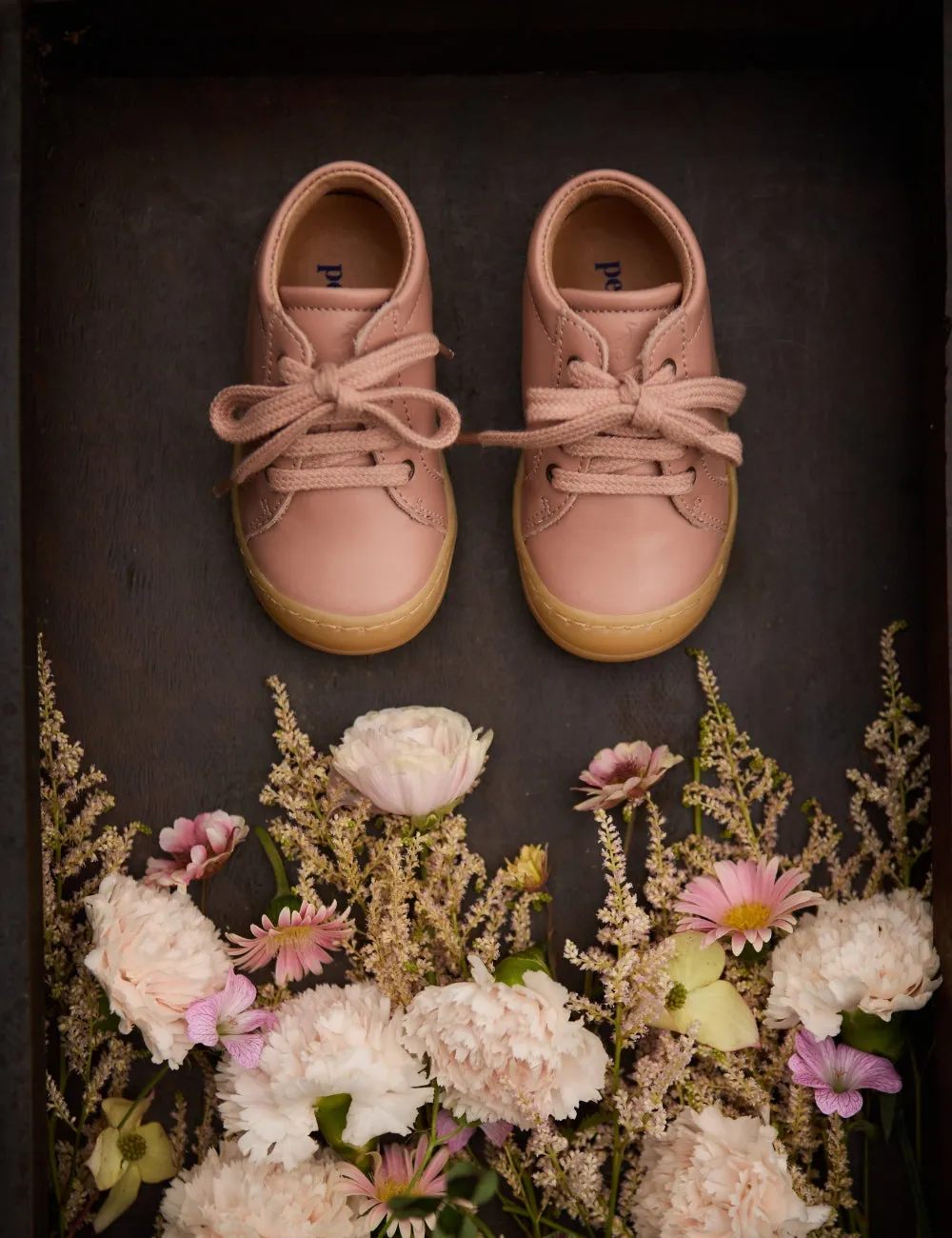 Everyday shoe Lace - Ballerina