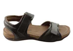 New Face Anchor Womens Comfortable Leather Sandals Made In Brazil New Face Shoes