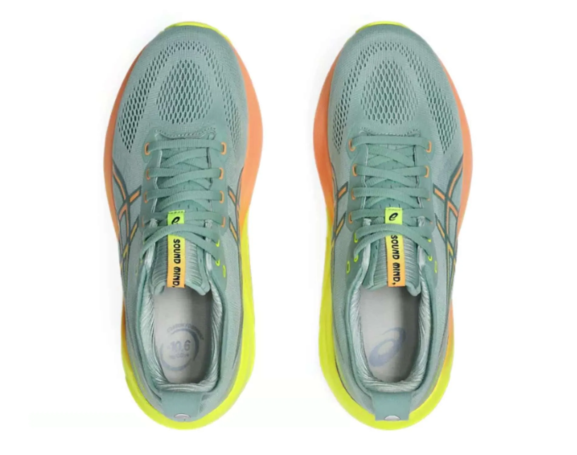 Shoes Asics Asics GEL Kayano 31 Womens Paris