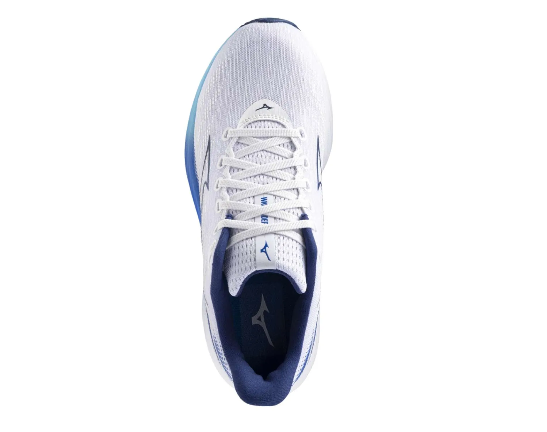 Shoes Mizuno Mizuno Wave Rider 28 Mens